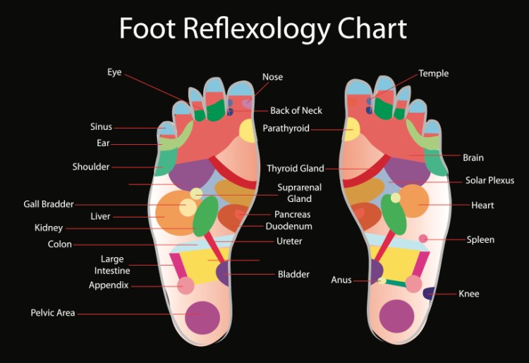 Foot Rub Chart